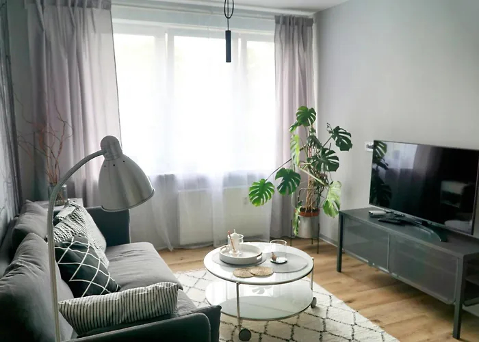 Piekny W Zielonej Dzielnicy Wroclawia * Wrocław