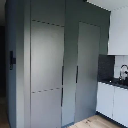 Piekny W Zielonej Dzielnicy Wroclawia *