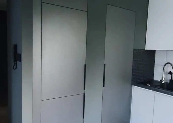 Piekny W Zielonej Dzielnicy Wroclawia *